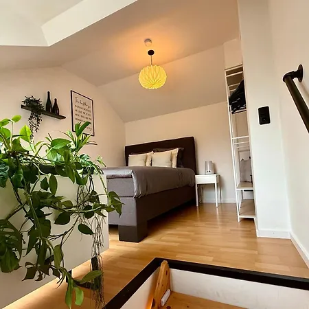 Apartment Vino Veritas Traben-Trarbach
