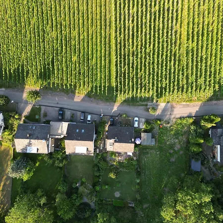 Maisonette Vino Veritas - Auszeit Am Weinberg شقة ترابن ترارباخ