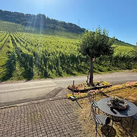 Maisonette Vino Veritas - Auszeit Am Weinberg Verbandsgemeinde Traben-Trarbach