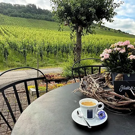 公寓 Maisonette Vino Veritas - Auszeit Am Weinberg *