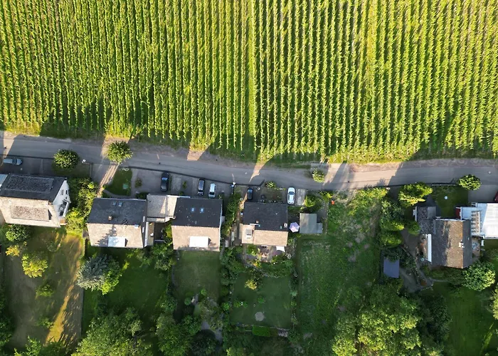 Maisonette Vino Veritas - Auszeit Am Weinberg شقة ترابن ترارباخ