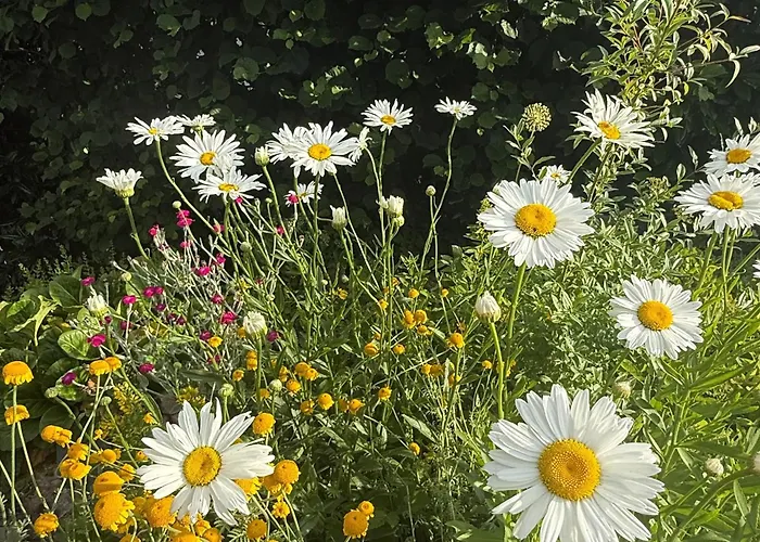 شقة Maisonette Vino Veritas - Auszeit Am Weinberg