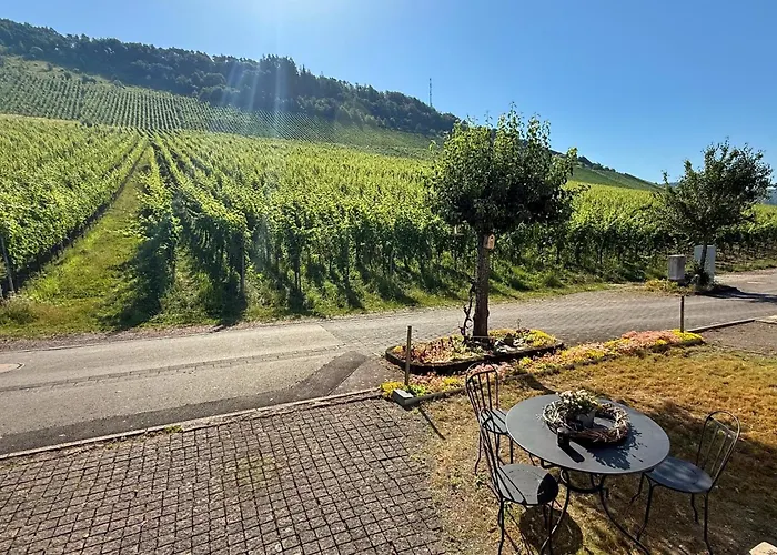 Maisonette Vino Veritas - Auszeit Am Weinberg ترابن ترارباخ